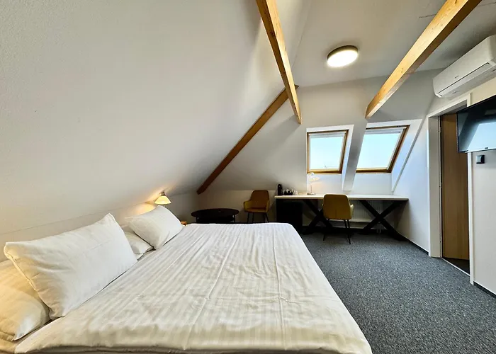 Hotel U Vlasskeho Dvora